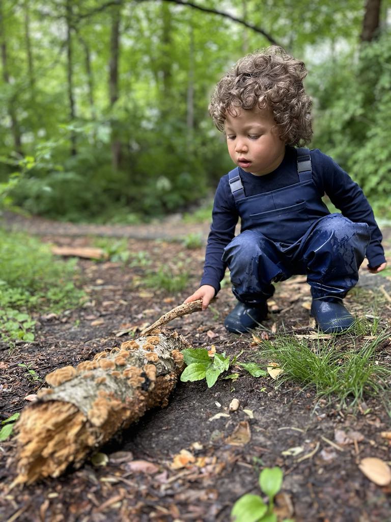 Little explorer