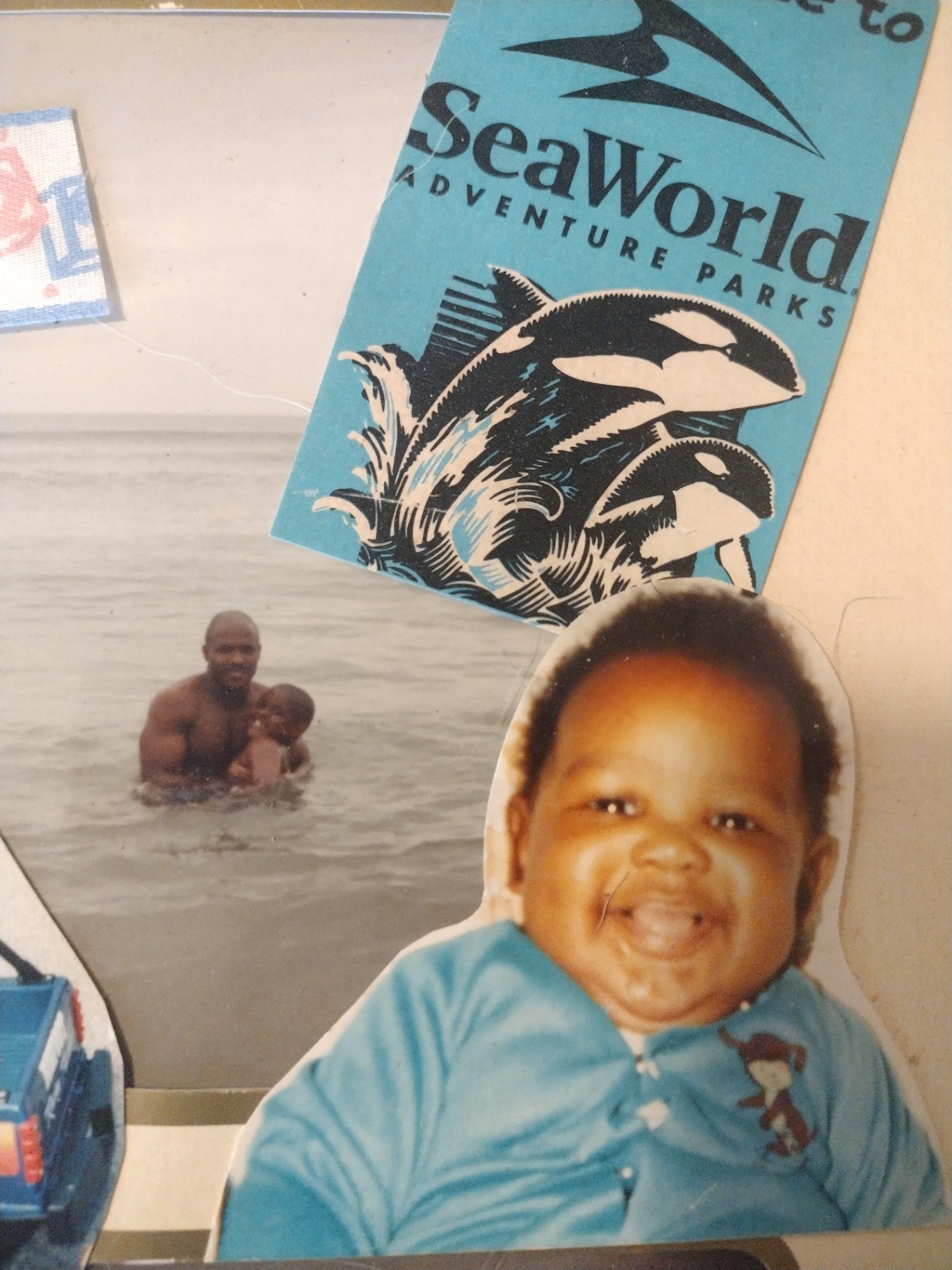 SeaWorld days